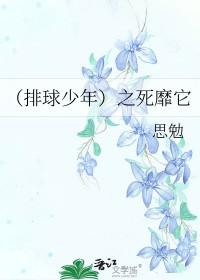 排球少年msby队员