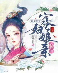 寡妇再嫁下句是什么
