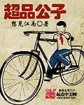 超品公子类似的有哪些