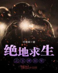 绝地求生之冠军之心