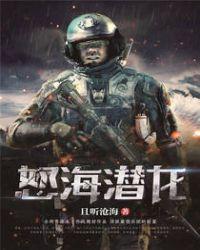 怒海潜将解析