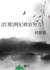 侧妃侍寝