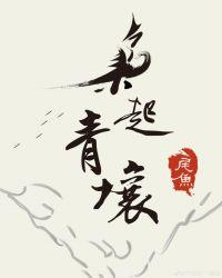 枭起青壤 电视剧