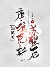 摩拉克斯什么意思
