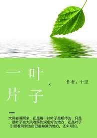 一片叶子落下来全文免费阅读