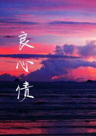 良心帐啥意思