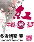红楼遗谜