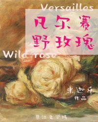 凡尔赛野玫瑰评论