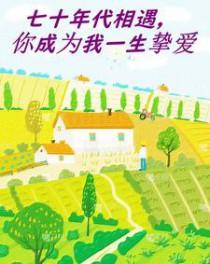 七十年代携手一生免费阅读