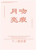 月亮吻痕txt