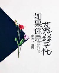 如果你是菟丝花讲什么