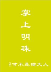 掌上明珠简介