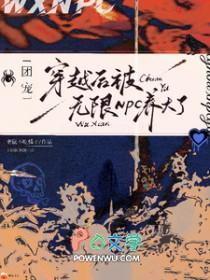 团宠穿越后被无限NPC养大了动漫