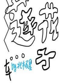 莲花的莲子