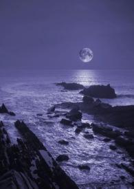 暗夜by