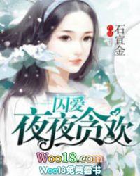 夜夜贪欢解说