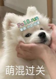 别捏我脸(校园1v2)相似的书最新章节