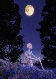 莺莺燕燕的女人