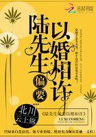 陆先生偏要以婚相许大结局