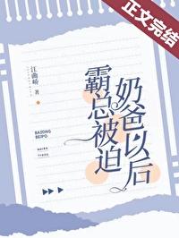 霸总被迫奶爸以后免费阅读