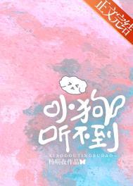 小狗好像听不见声音