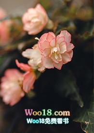 游园惊梦全文阅读