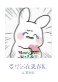 娱乐圈爱豆文推荐