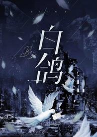 白鸽强制躺平的小仙女