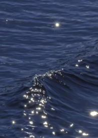一朝意思