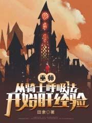 巫师之骑士