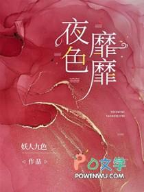夜色靡靡晋江