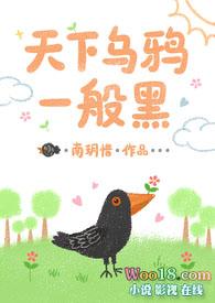 天下乌鸦一般黑如何解释