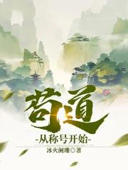 苟道系统