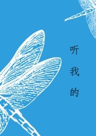 听我听我