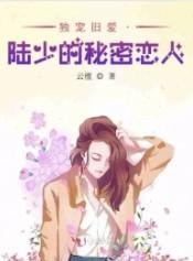 独宠旧爱陆少的秘密恋人讲的是什么