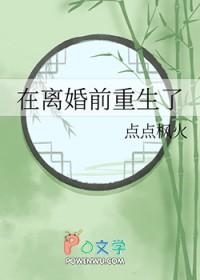 重生在离婚前夕 完美娇妻