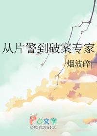 从片警到破案专家txt百度