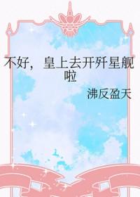 不好皇上去开歼星舰啦