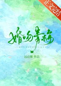 婚吻青梅免费阅读全文