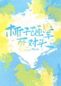 椰子 砸人