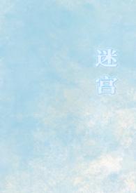 迷宫知乎