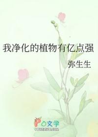 净化植物有哪些