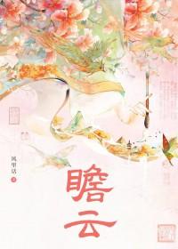 瞻云是什么意思