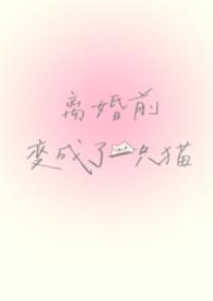 离婚前变成了一只猫