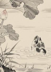 全京城都在等我掉马番外