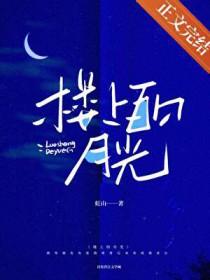 楼上的月光讲了什么