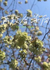 合并的学校