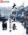 大明土豪免费阅读全文