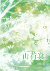 山荷叶合剂功效