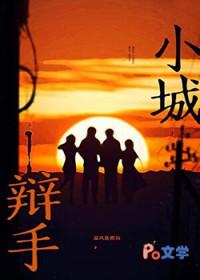 小城房四辩总结